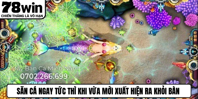 Săn cá ngay tức thì khi vừa mới xuất hiện ra khỏi bàn là mẹo chơi hay