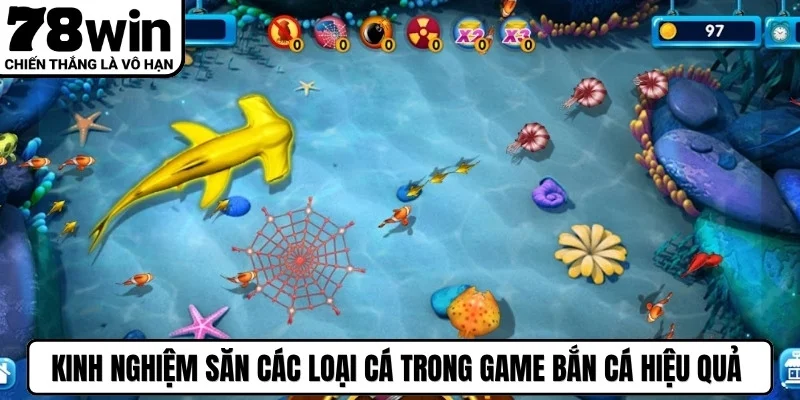Kinh nghiệm săn các loại cá trong game bắn cá hiệu quả từ cao thủ