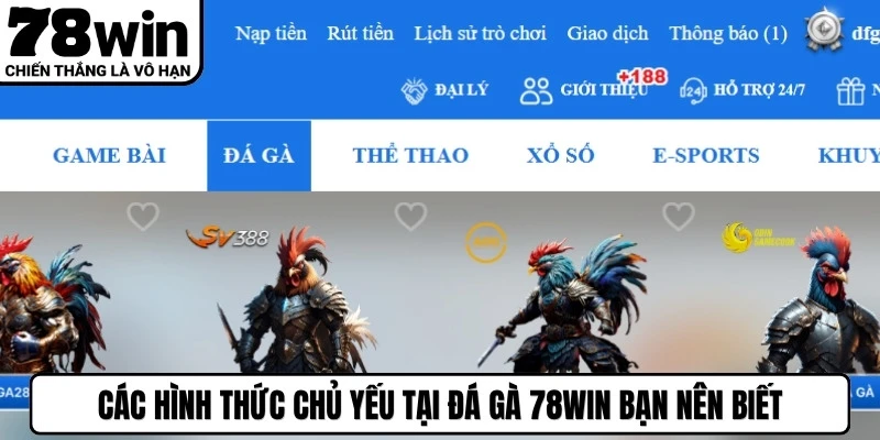 Các hình thức chủ yếu tại đá gà 78WIN bạn nên biết