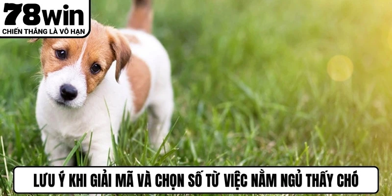 Lưu ý khi giải mã và chọn số từ việc nằm ngủ thấy chó