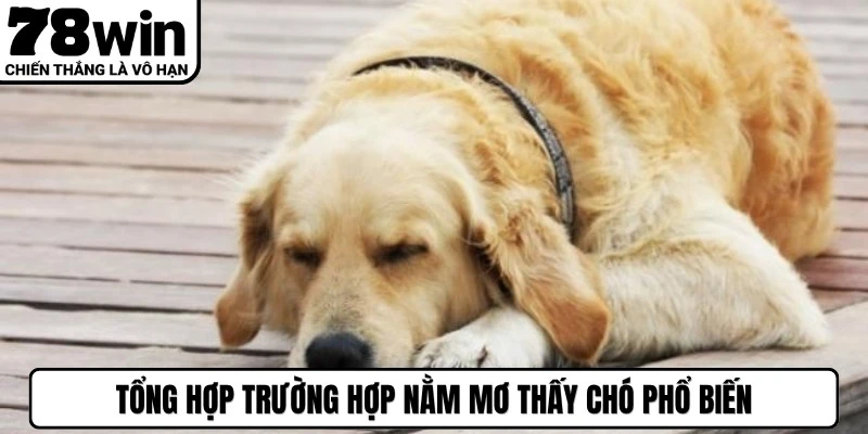 Tổng hợp trường hợp nằm mơ thấy chó phổ biến