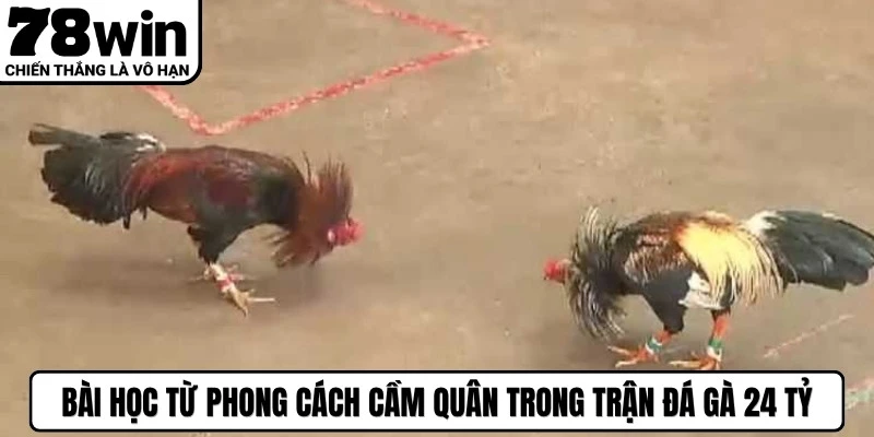 Bài học từ phong cách cầm quân trong trận đá gà 24 tỷ