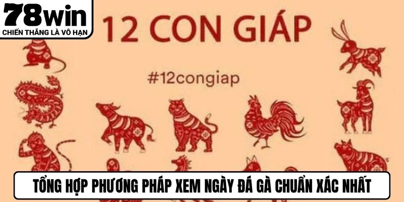 Tổng hợp phương pháp xem ngày đá gà chuẩn xác nhất